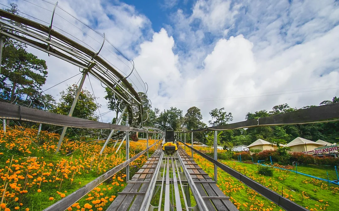 Pongyang Jungle Coaster: Ziplining + Jungle Coaster Packages (with Transfers) Image 4