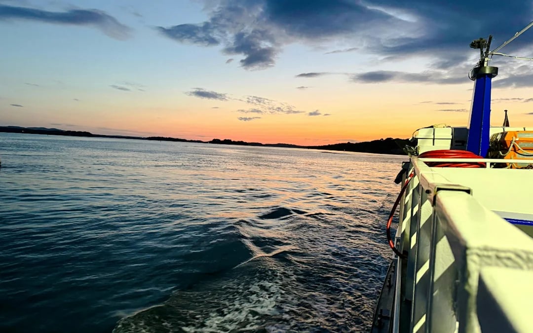 Poole Harbour Sunset Lights Cruise Image 7