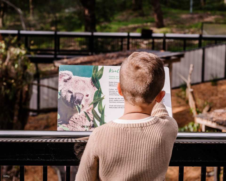 Port Stephens Koala Sanctuary Ticket | New South Wales