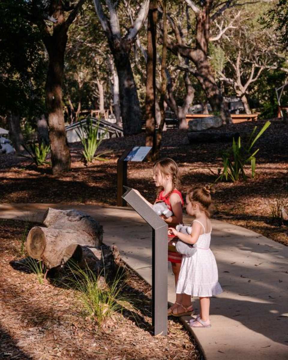 Port Stephens Koala Sanctuary Ticket | New South Wales