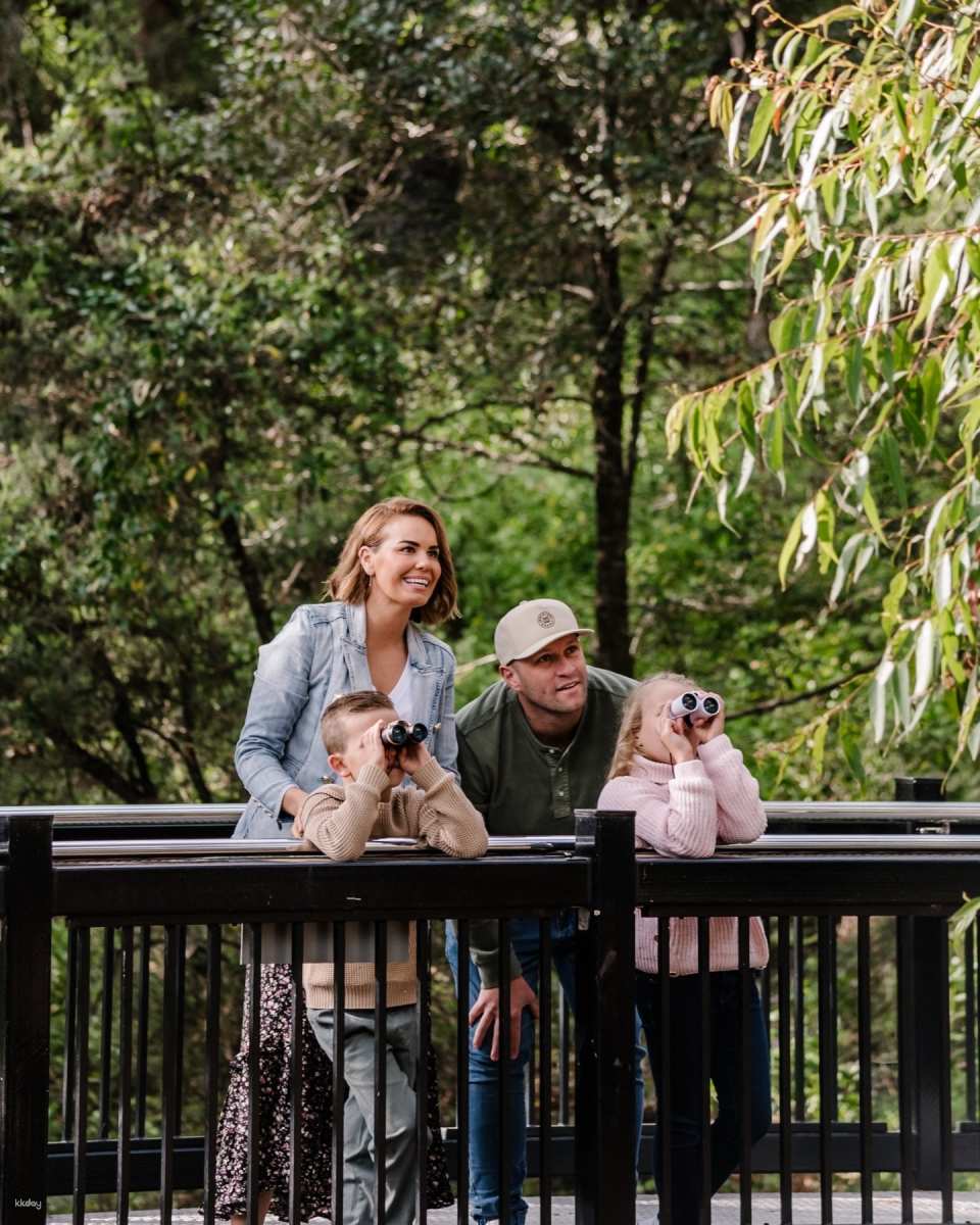 Port Stephens Koala Sanctuary Ticket | New South Wales