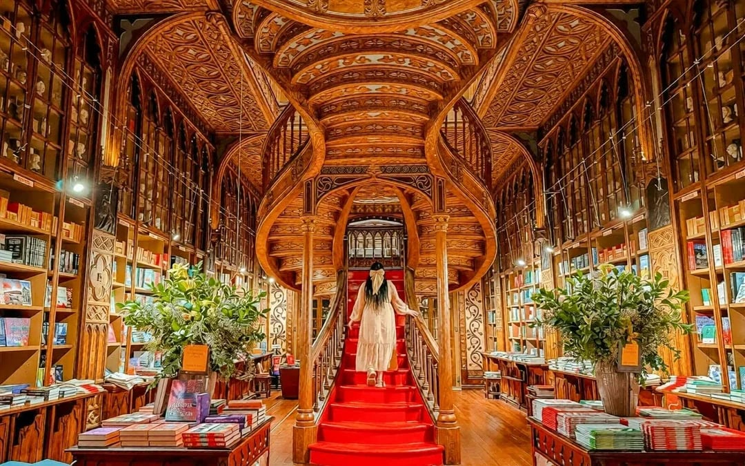 Porto Signature Experience: Walking Tour with Wine Cellar Visit Image 2