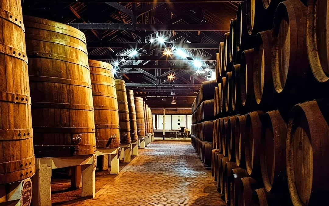 Porto Signature Experience: Walking Tour with Wine Cellar Visit Image 7