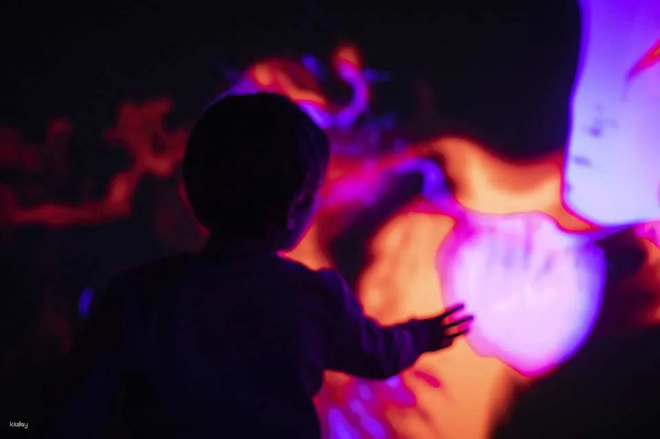Prague Lumia Light Show with Gallery Ticket | Prague
