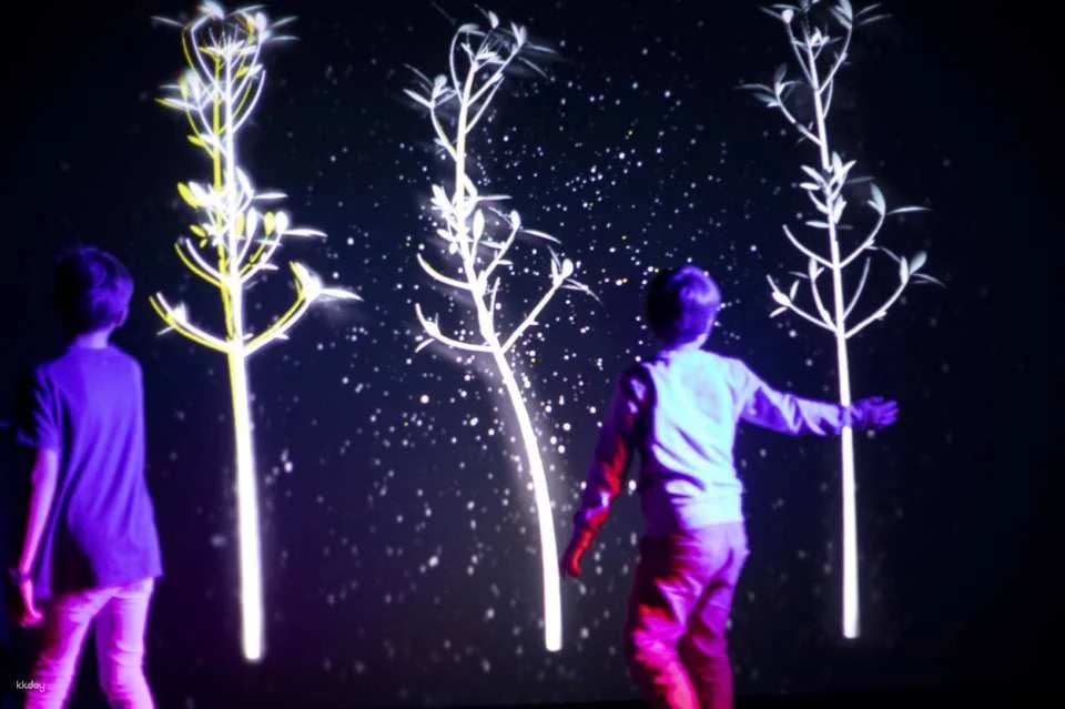 Prague Lumia Light Show with Gallery Ticket | Prague