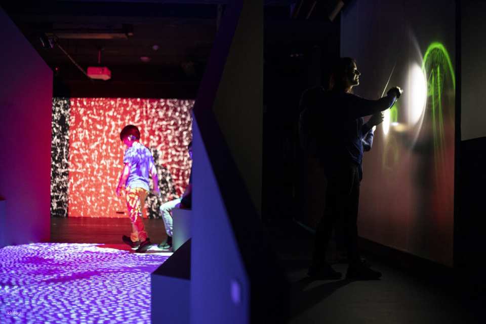 Prague Lumia Light Show with Gallery Ticket | Prague