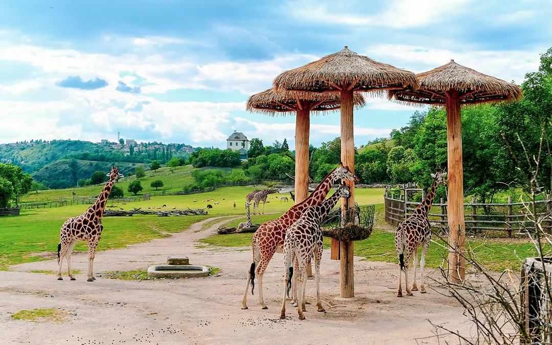 Prague Zoo Tickets Image 3