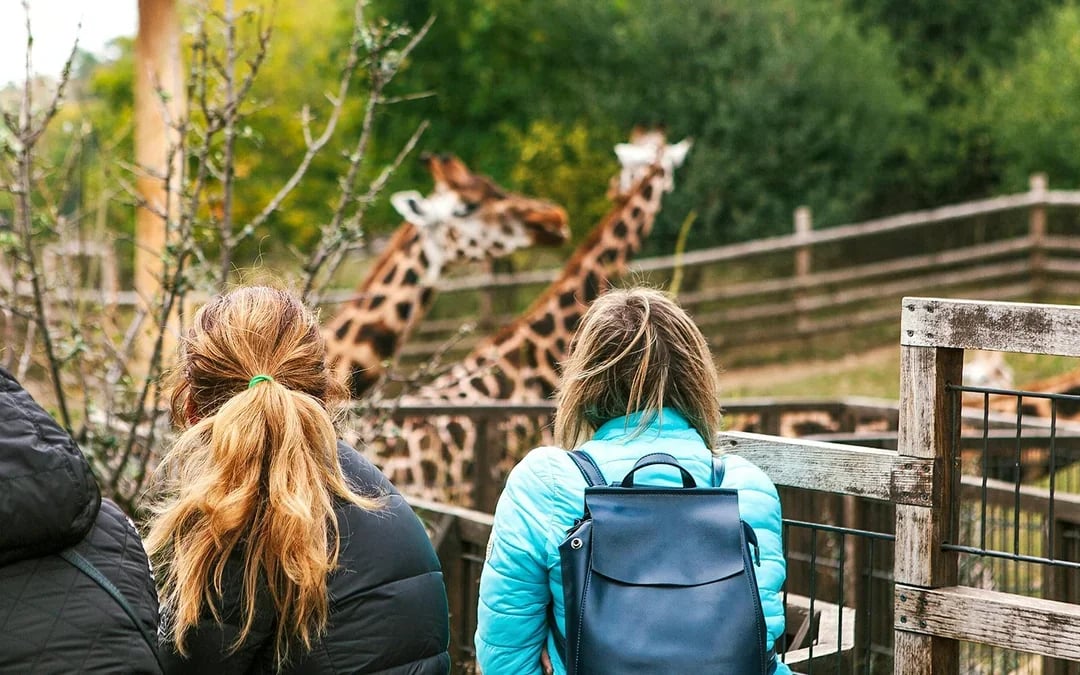 Prague Zoo Tickets Image 8