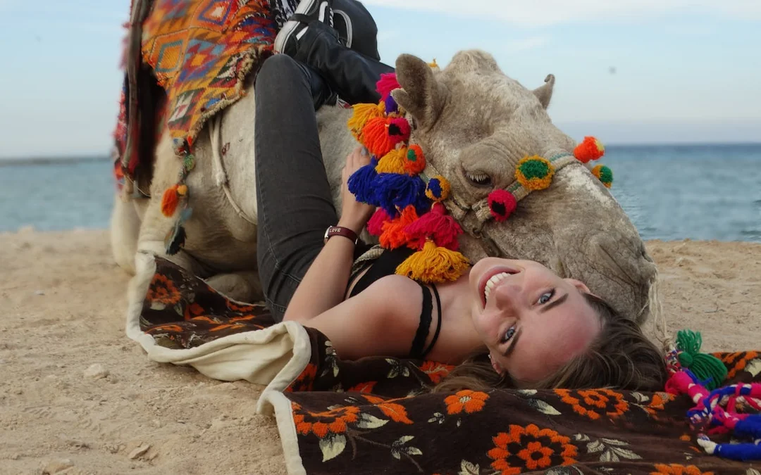 Premium 1 Hour Desert Camel Riding Adventure - Hurghada Image 3