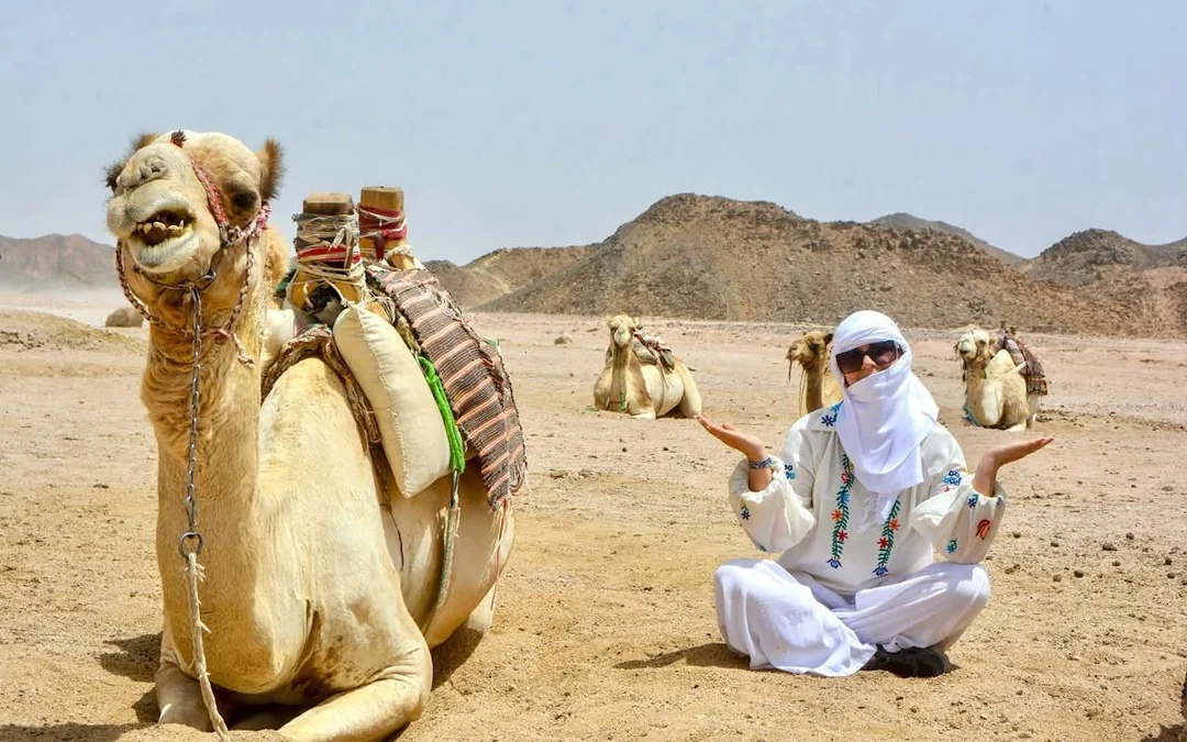 Premium 1 Hour Desert Camel Riding Adventure - Hurghada Image 4