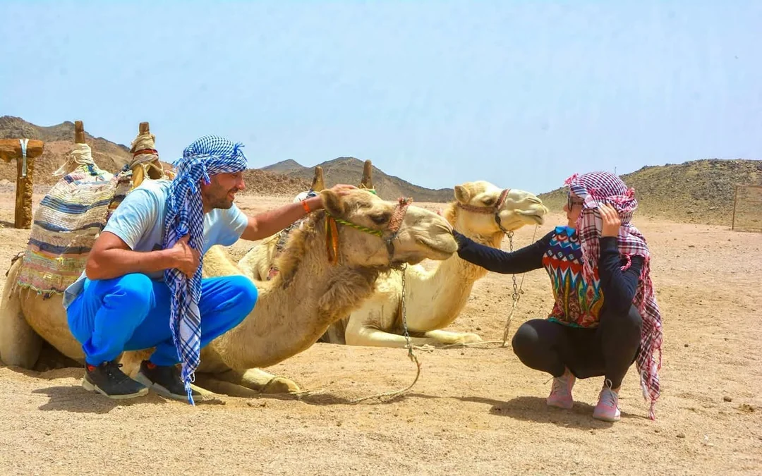 Premium 1 Hour Desert Camel Riding Adventure - Hurghada Image 10