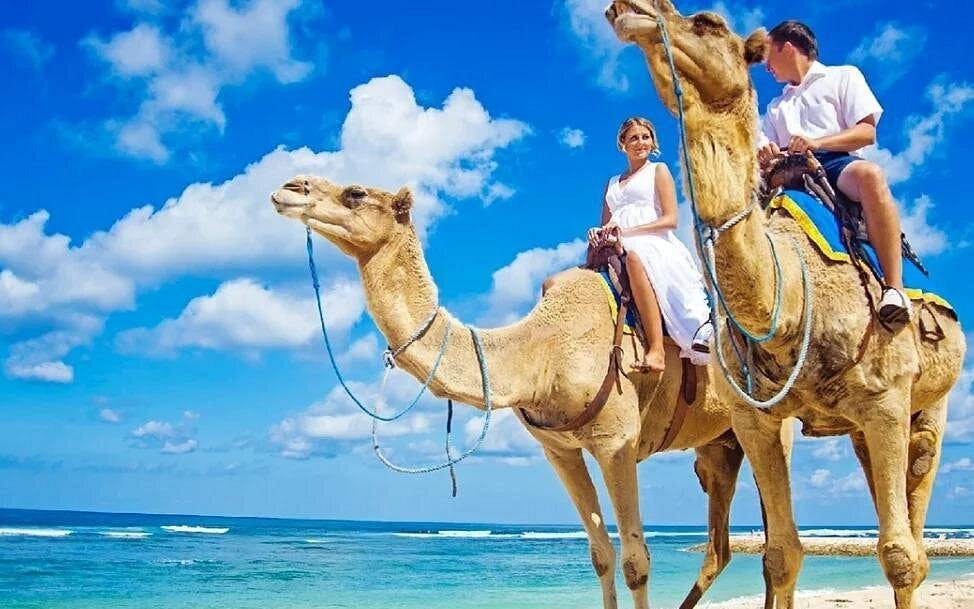 Premium 2 Hours Camel Ride: Amazing Desert & Sea - Hurghada Image 3