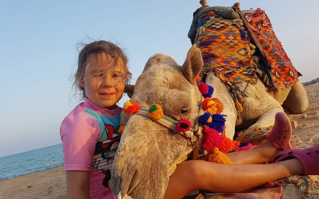 Premium 2 Hours Camel Ride: Amazing Desert & Sea - Hurghada Image 4