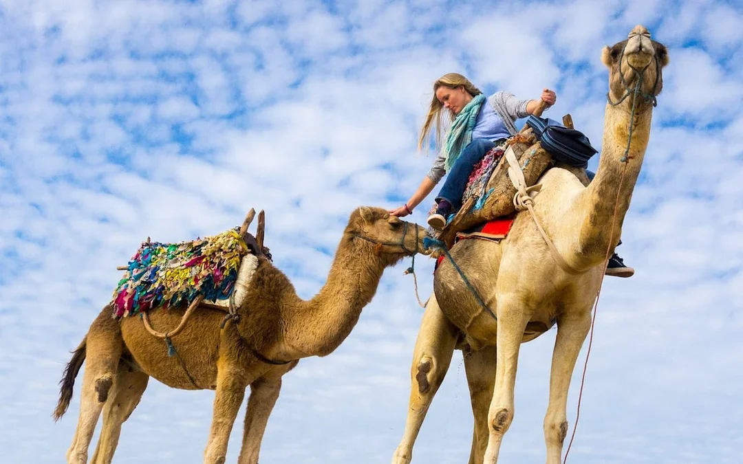 Premium 2 Hours Camel Ride: Amazing Desert & Sea - Hurghada Image 5