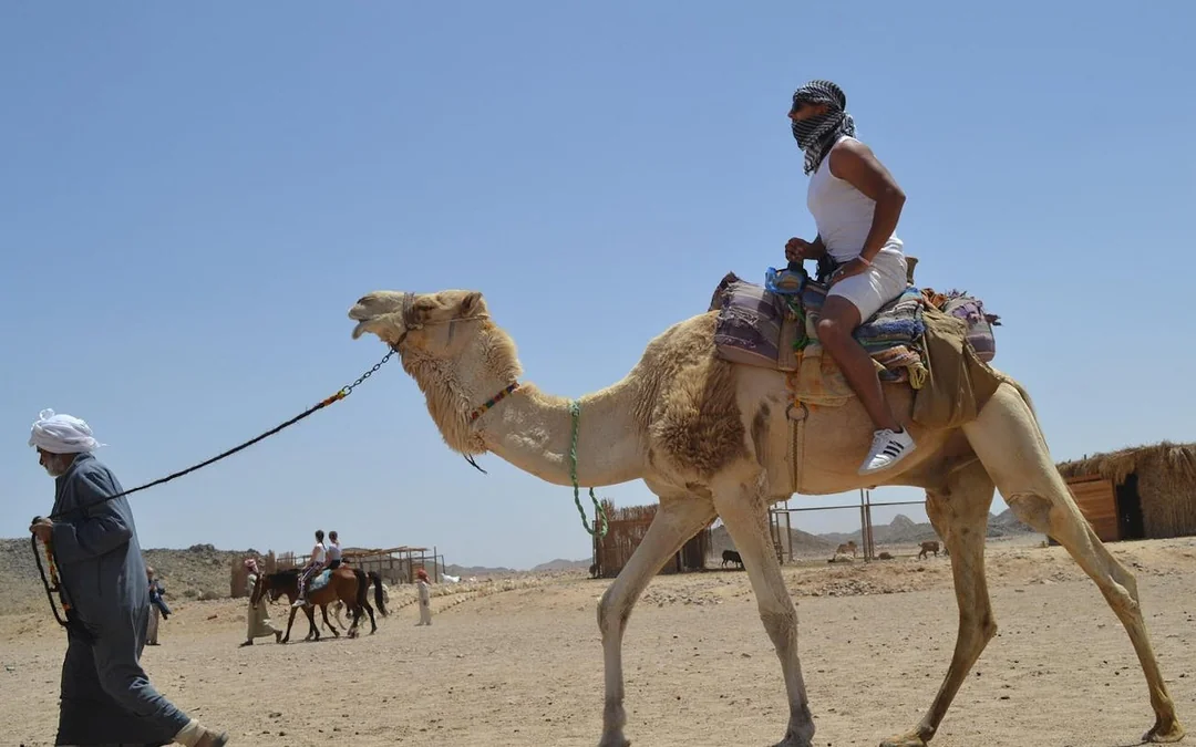 Premium 2 Hours Camel Ride: Amazing Desert & Sea - Hurghada Image 10
