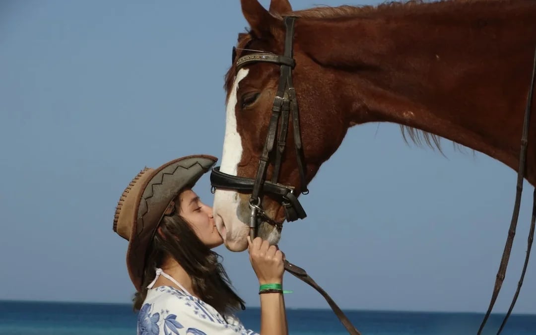 Premium 2 Hours Horse Riding, Desert Trail & Sea Beach - Hurghada Image 2