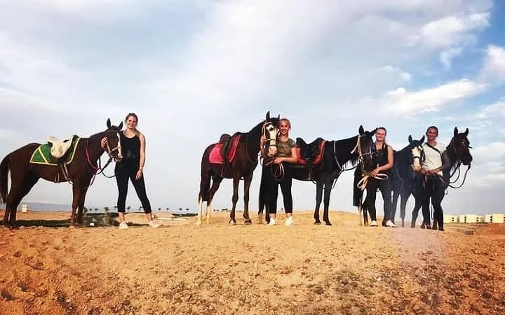 Premium 2 Hours Horse Riding, Desert Trail & Sea Beach - Hurghada Image 8