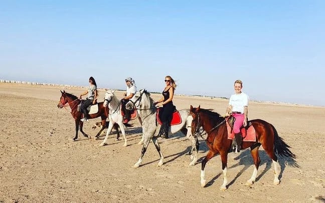 Premium 2 Hours Horse Riding, Desert Trail & Sea Beach - Hurghada Image 9