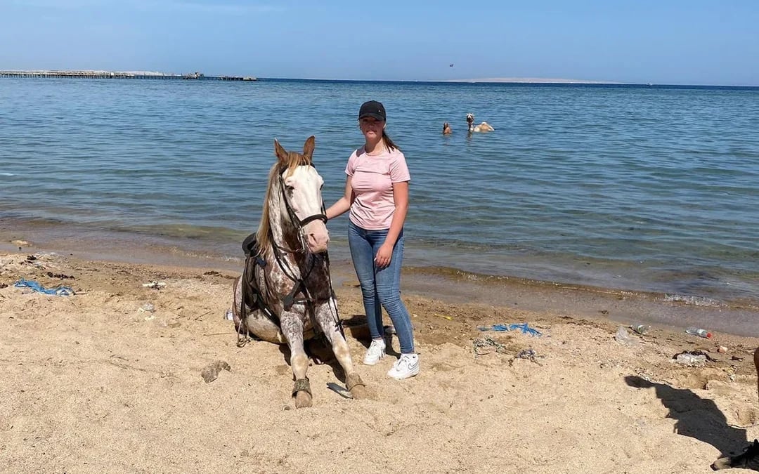 Premium 2 Hours Horse Riding, Desert Trail & Sea Beach - Hurghada Image 10