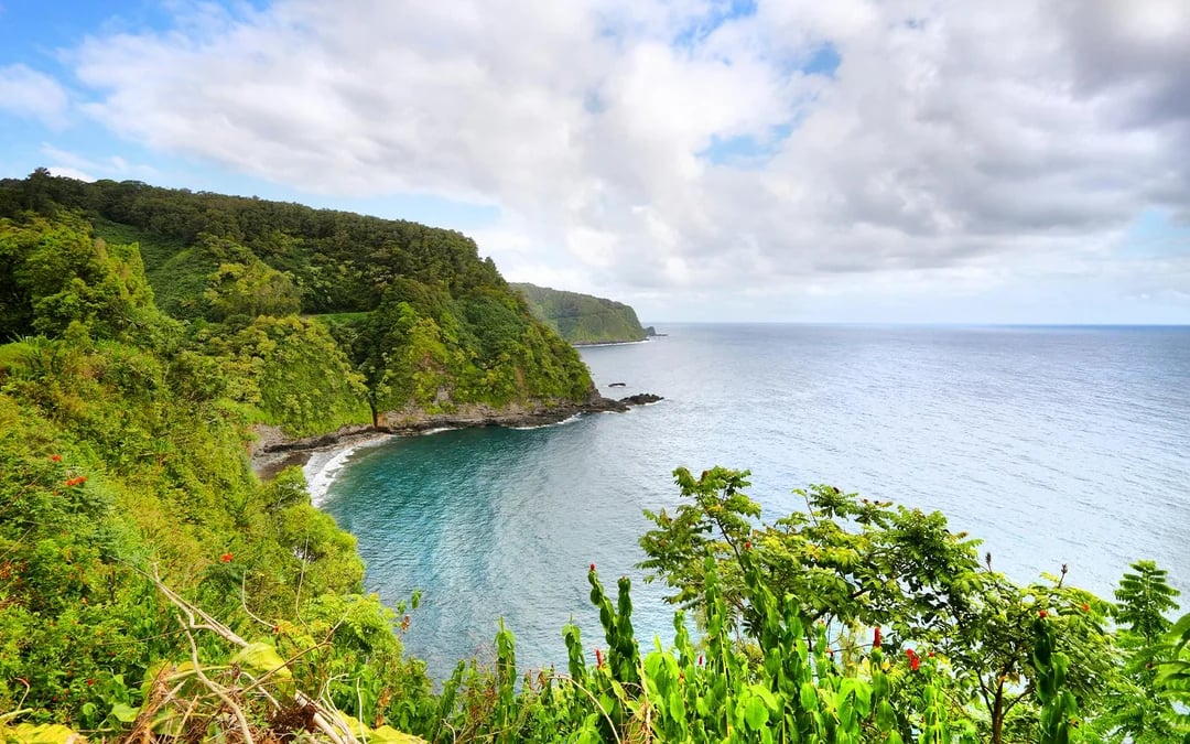 Premium, Small-Group Road to Hana Tour with GoPro Capture and Lunch Image 2