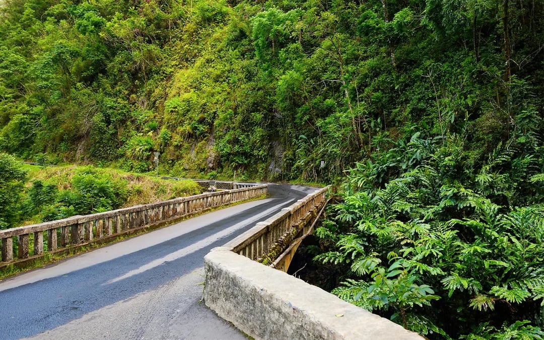 Premium, Small-Group Road to Hana Tour with GoPro Capture and Lunch Image 6