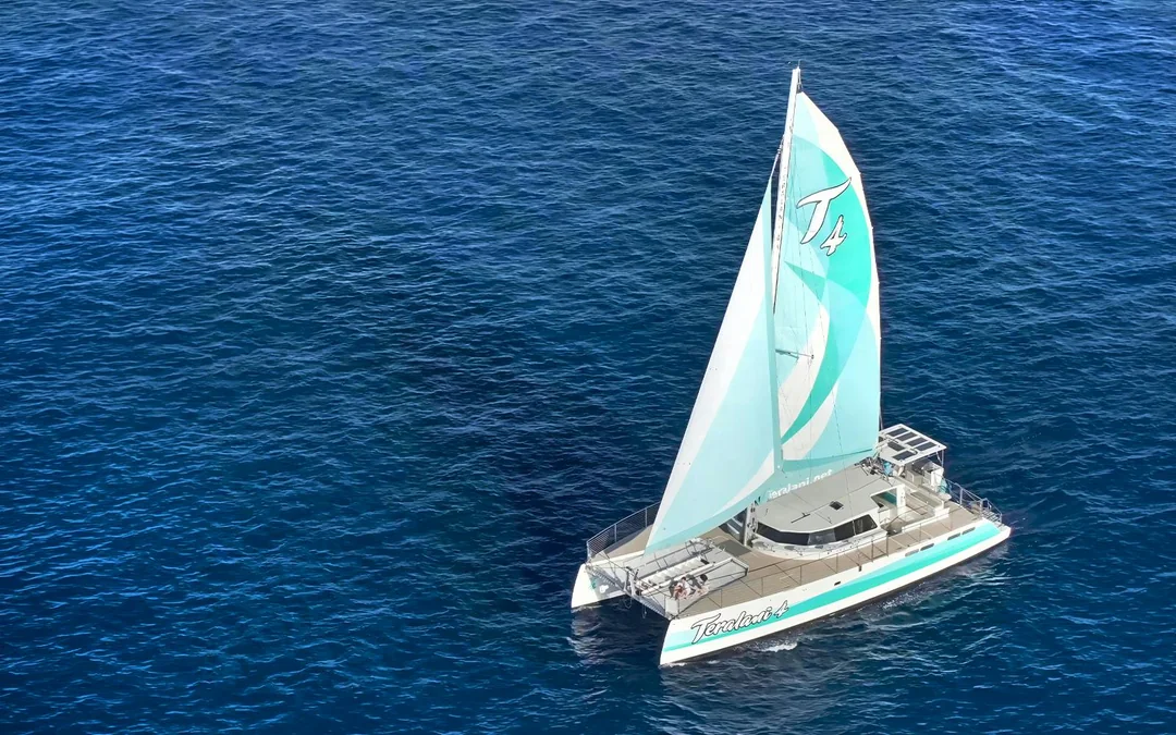 Premium Whale Watching Cruise from Ka’anapali Beach with Open Bar and Snacks Image 2