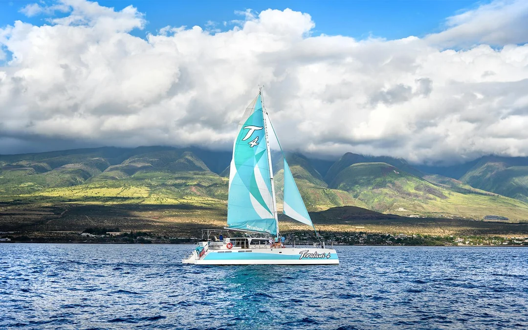 Premium Whale Watching Cruise from Ka’anapali Beach with Open Bar and Snacks Image 5