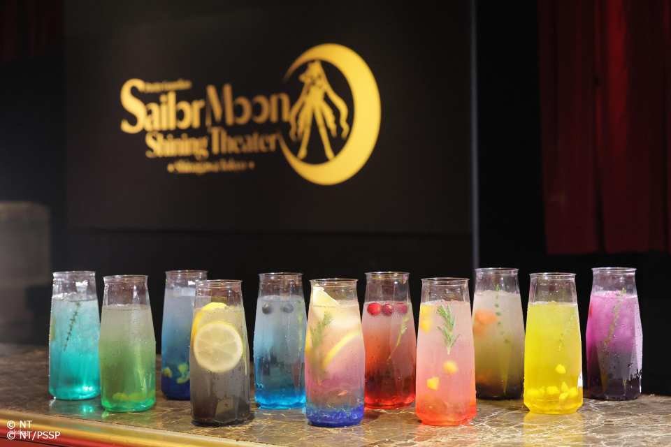 Pretty Guardian Sailor Moon -Shining Theater Shinagawa Tokyo- Advance tickets (Tokyo)