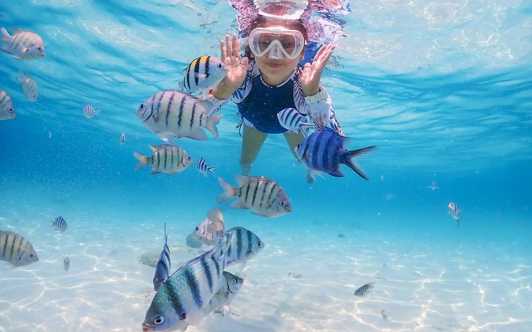 Private Bali Snorkeling Blue Lagoon & Tanjung Jepun Image 7
