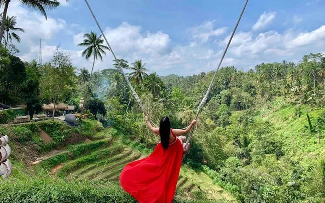 Private Bali Ubud Tour: Tirta Empul, Rice Terrace & Swing Image 5