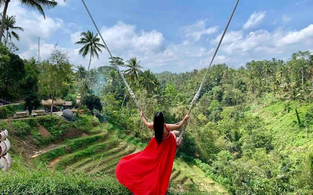 Private Bali Ubud Tour: Tirta Empul, Rice Terrace & Swing Image 5