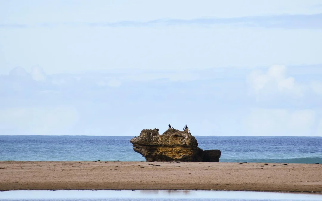 Private Car Tour of Great Ocean Road Including the 12 Apostles from Melbourne Image 5