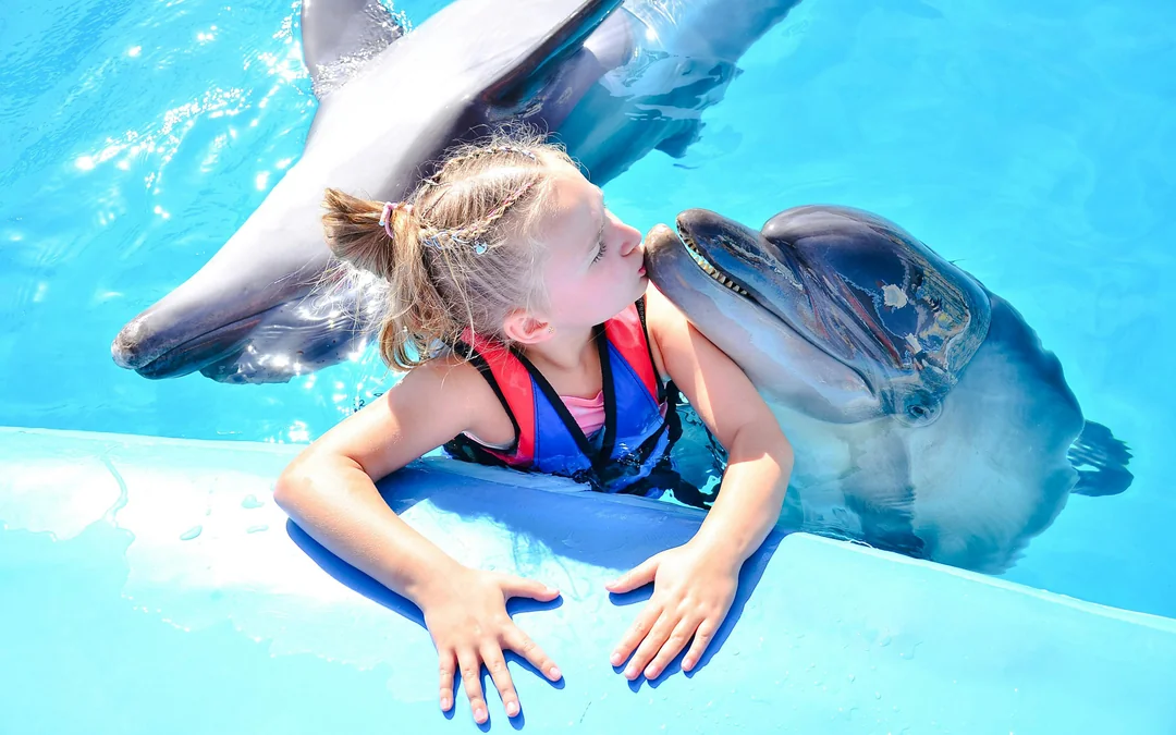 Private Dolphin Photo Experience at Hurghada Dolphin World Image 2