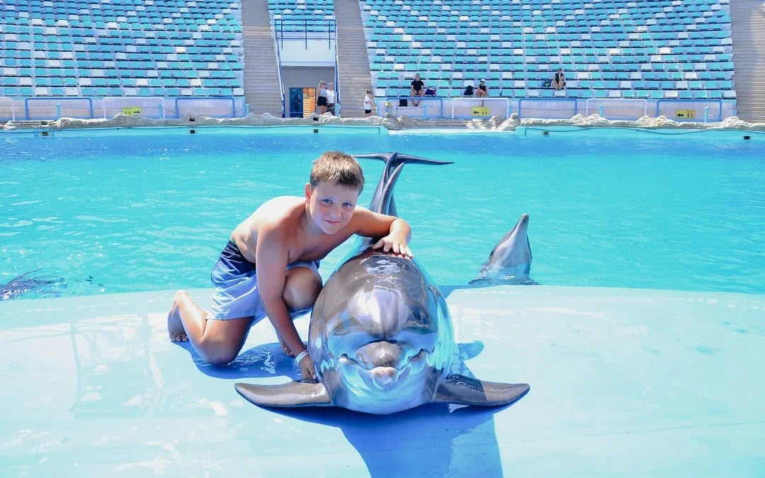 Private Dolphin Photo Experience at Hurghada Dolphin World Image 3