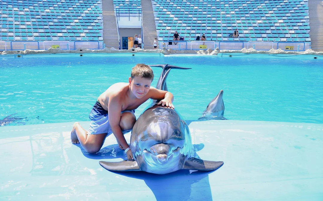Private Dolphin Photo Experience at Hurghada Dolphin World Image 3