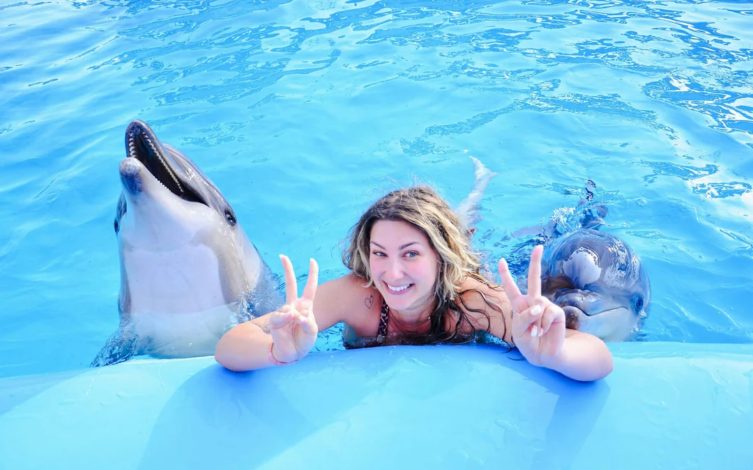 Private Dolphin Photo Experience at Hurghada Dolphin World Image 4