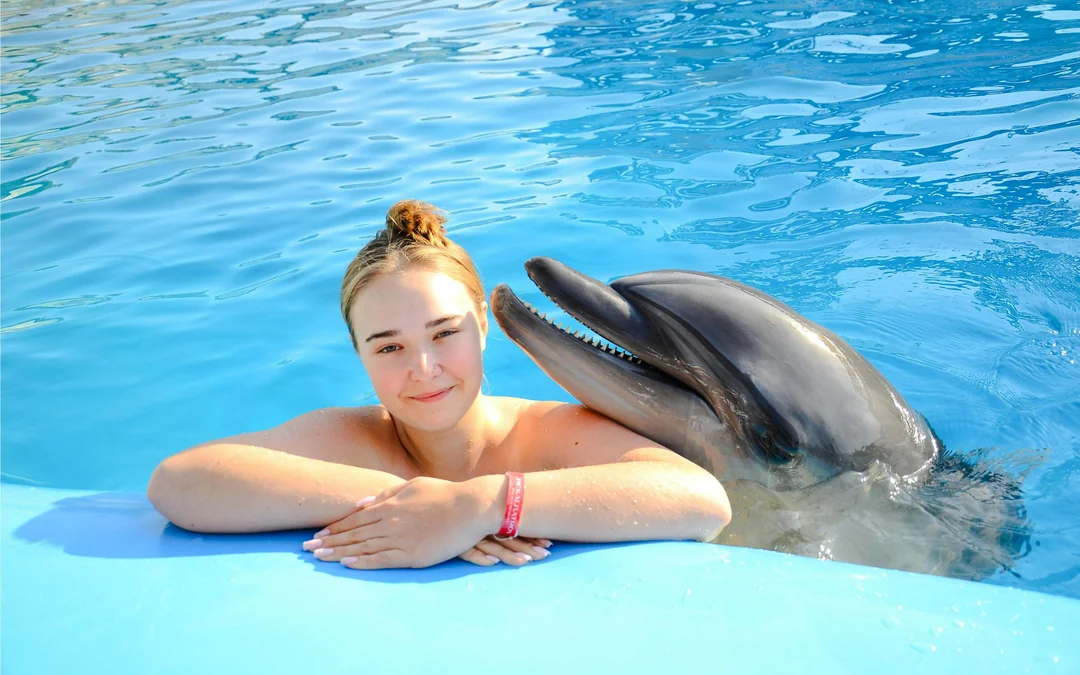 Private Dolphin Photo Experience at Hurghada Dolphin World Image 5