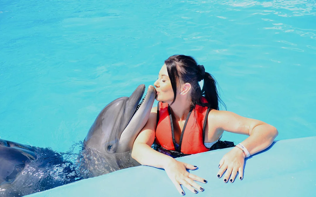Private Dolphin Photo Experience at Hurghada Dolphin World Image 6