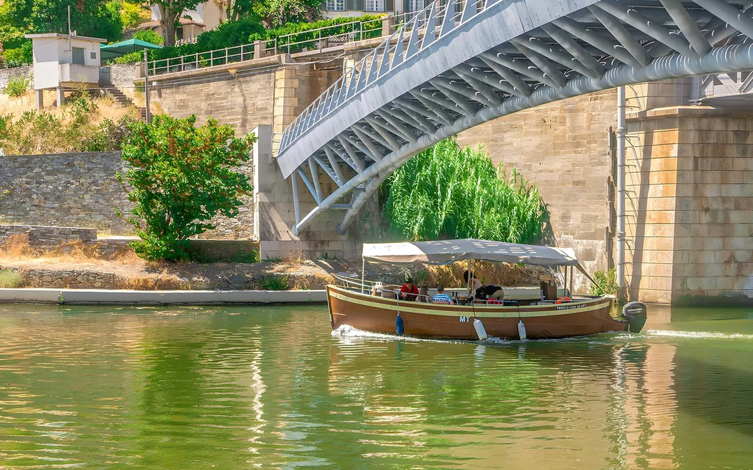 Private Douro Valley Guided Tour with 1-Hour Pinhão Cruise, Traditional Lunch & Wine Tastings Image 2