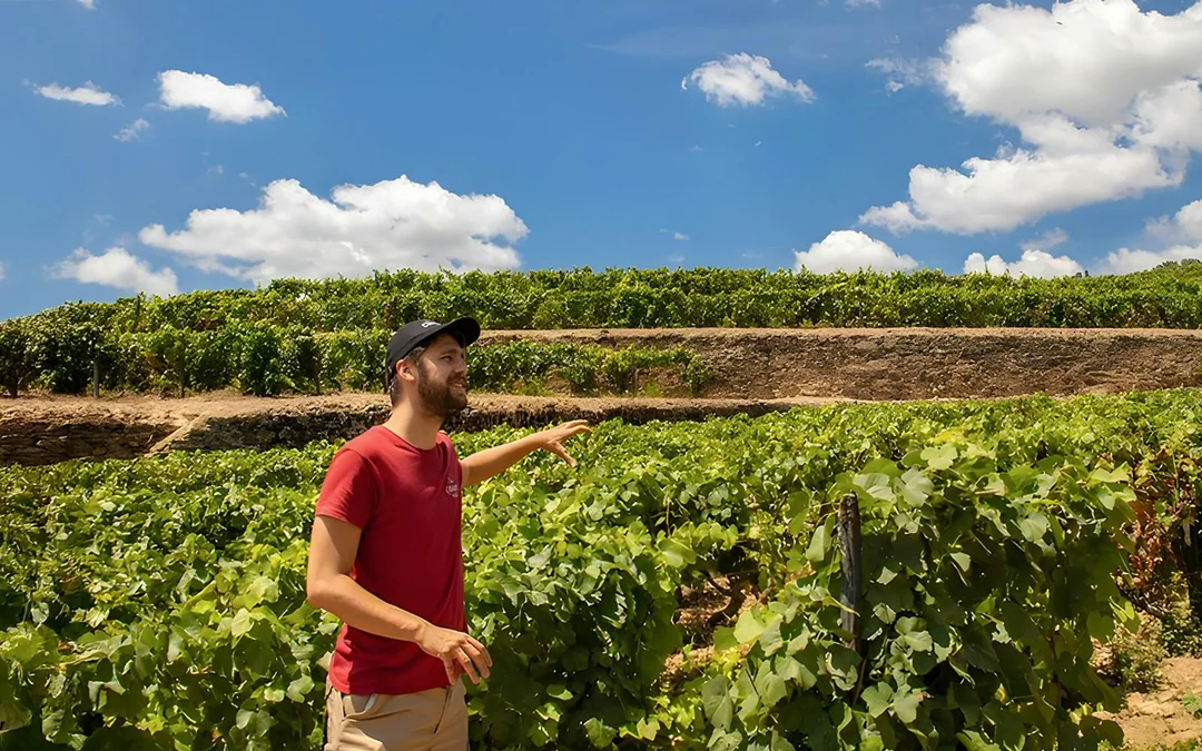 Private Douro Valley Guided Tour with 1-Hour Pinhão Cruise, Traditional Lunch & Wine Tastings Image 3