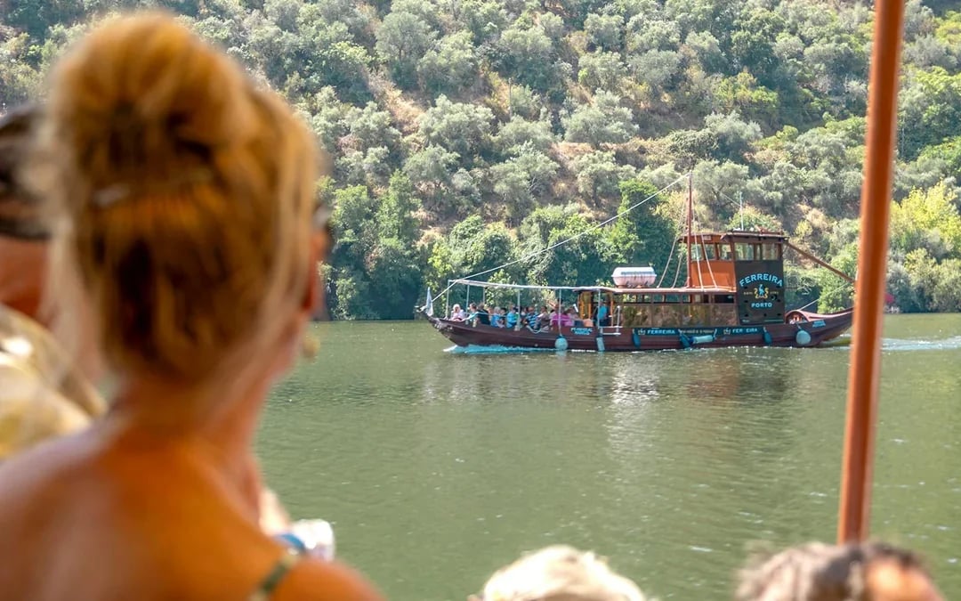 Private Douro Valley Guided Tour with 1-Hour Pinhão Cruise, Traditional Lunch & Wine Tastings Image 7