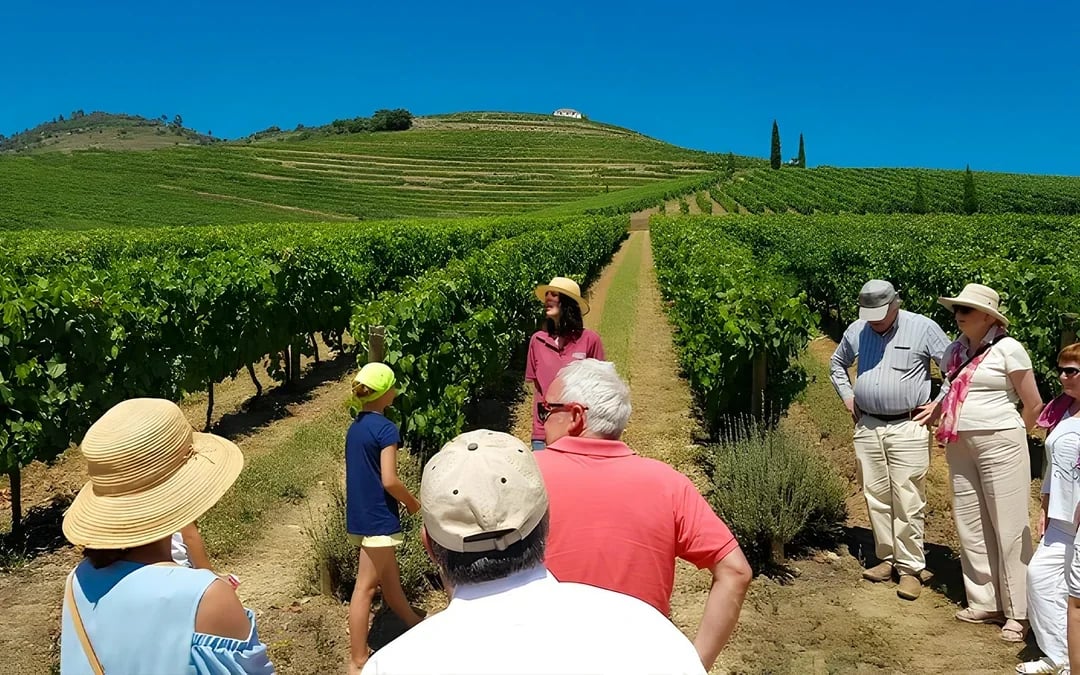 Private Douro Valley Guided Tour with 1-Hour Pinhão Cruise, Traditional Lunch & Wine Tastings Image 8