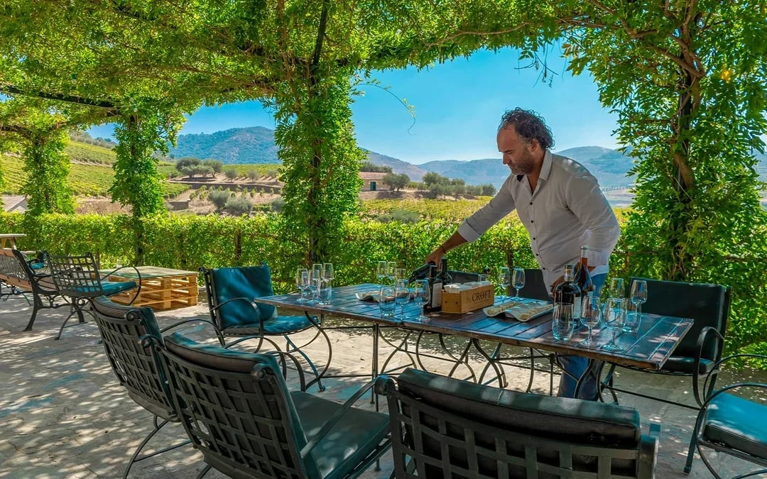 Private Douro Valley Guided Tour with 1-Hour Pinhão Cruise, Traditional Lunch & Wine Tastings Image 10