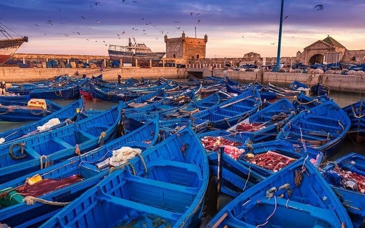 Private Essaouira Coastal Tour Day Trip with Transfers -Marrakech Image 2