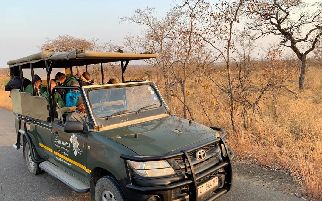 Private Full-Day 4x4 Open Vehicle Safari with Guide in Kruger National Park Image 2