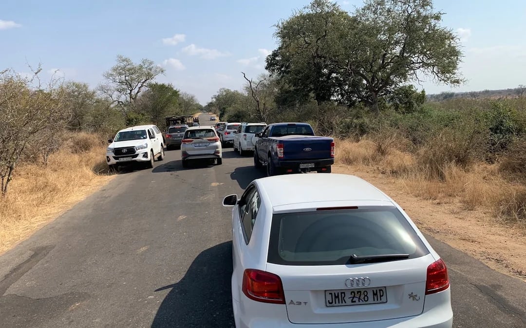 Private Full-Day 4x4 Open Vehicle Safari with Guide in Kruger National Park Image 9