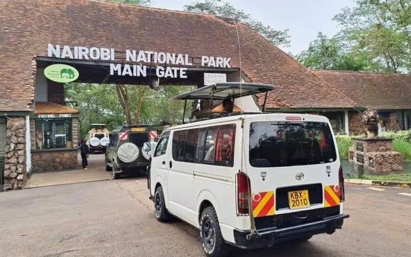 Private Half-Day Nairobi National Park Game Drive Safari with Hotel Transfers Image 8