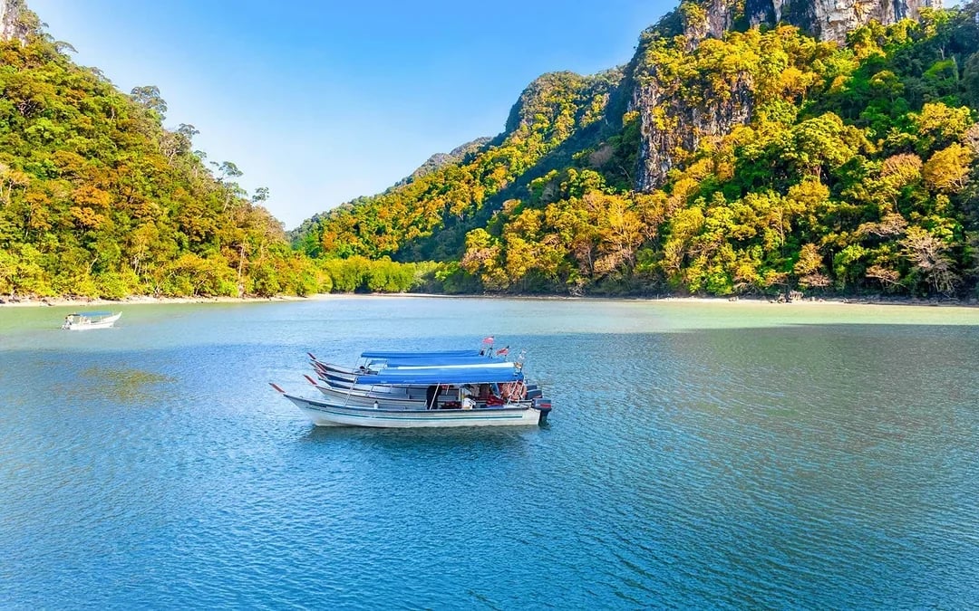 Private Langkawi Mangrove Tour Image 1