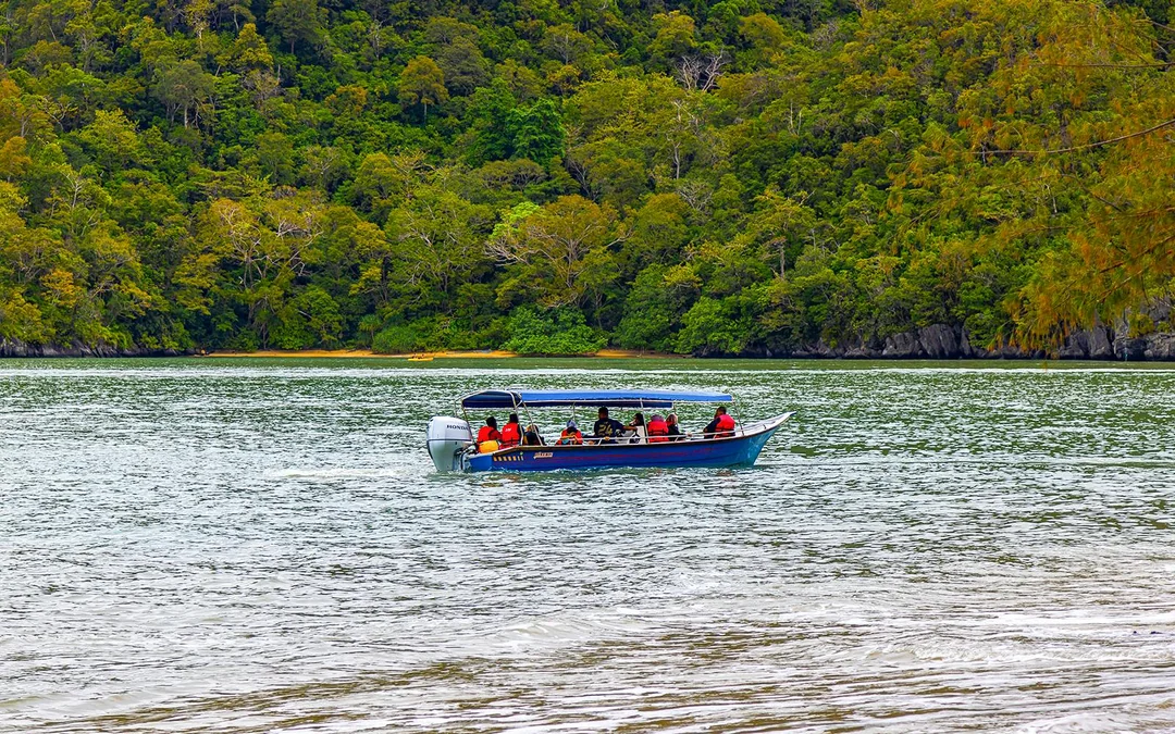 Private Langkawi Mangrove Tour Image 4