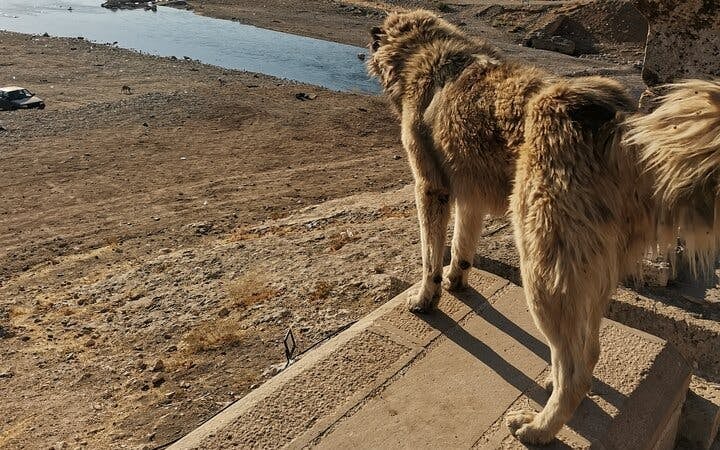 Private Multi-Day Guided Tour of Cappadocia and Göbeklitepe from Istanbul with Flights and Local Experiences Image 6